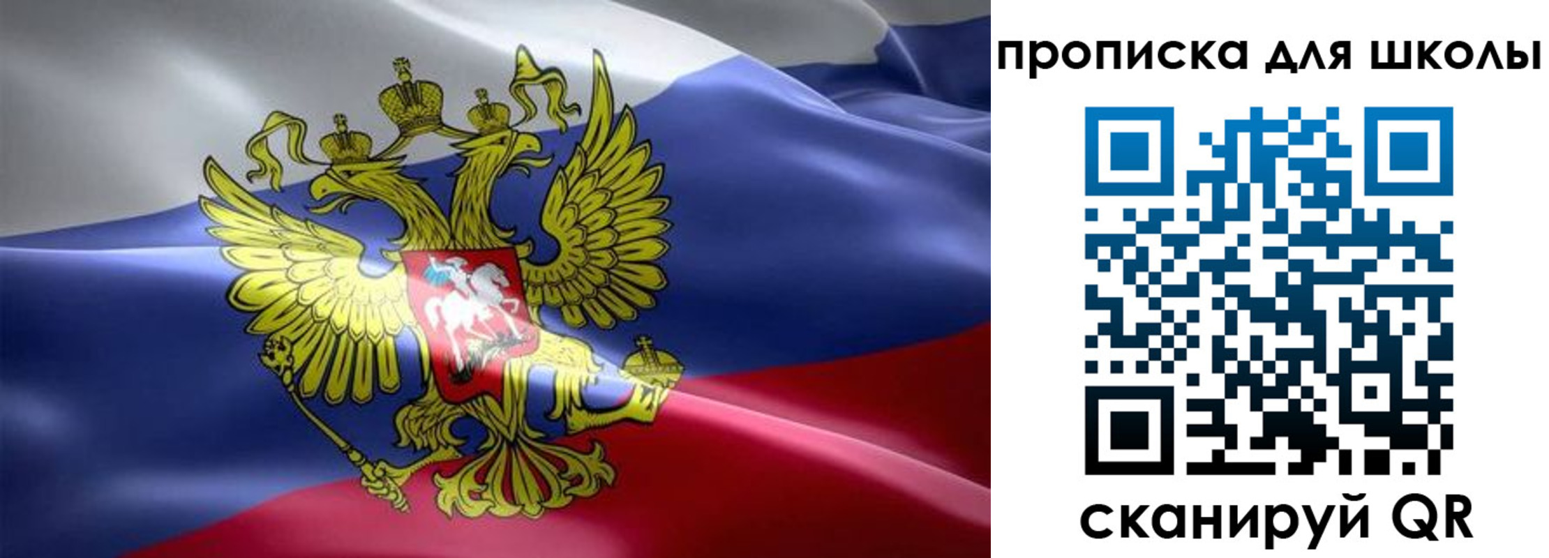 прописка законно в Мирном